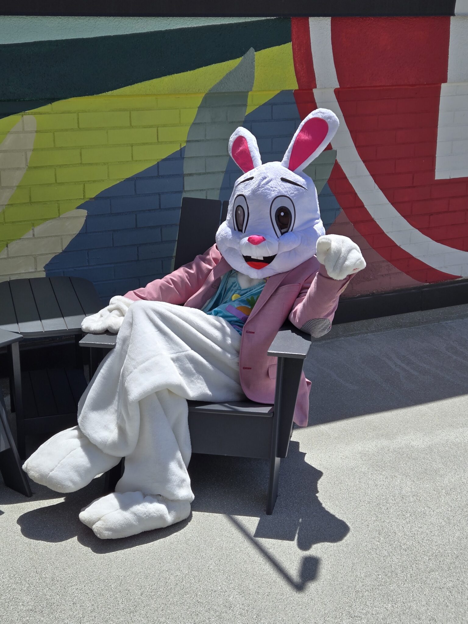 Princess Party & Character Rentals Augusta, Evans, Grovetown GA | Brown Beauty Magic easter bunny